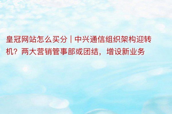 皇冠网站怎么买分 | 中兴通信组织架构迎转机？两大营销管事部或团结，增设新业务