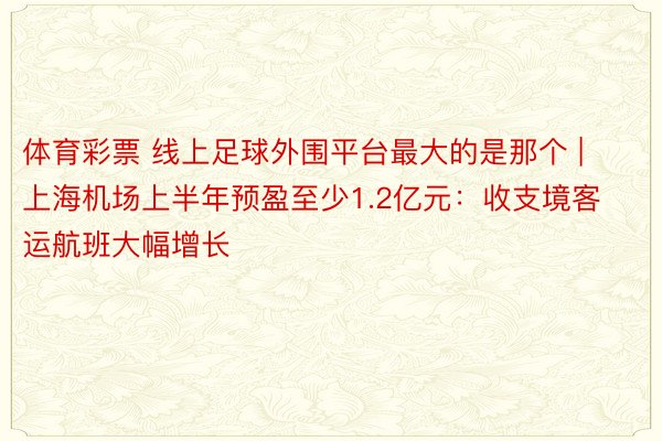 体育彩票 线上足球外围平台最大的是那个 | 上海机场上半年预盈至少1.2亿元：收支境客运航班大幅增长