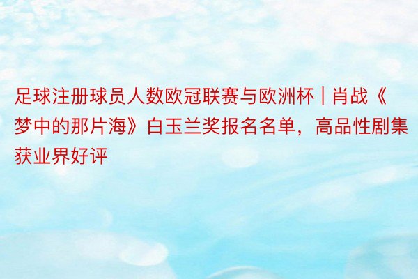 足球注册球员人数欧冠联赛与欧洲杯 | 肖战《梦中的那片海》白玉兰奖报名名单，高品性剧集获业界好评