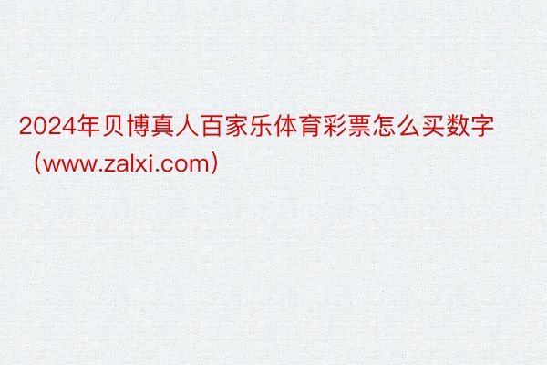 2024年贝博真人百家乐体育彩票怎么买数字（www.zalxi.com）