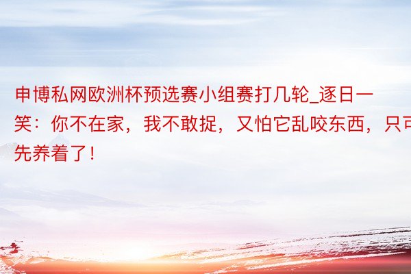 申博私网欧洲杯预选赛小组赛打几轮_逐日一笑：你不在家，我不敢捉，又怕它乱咬东西，