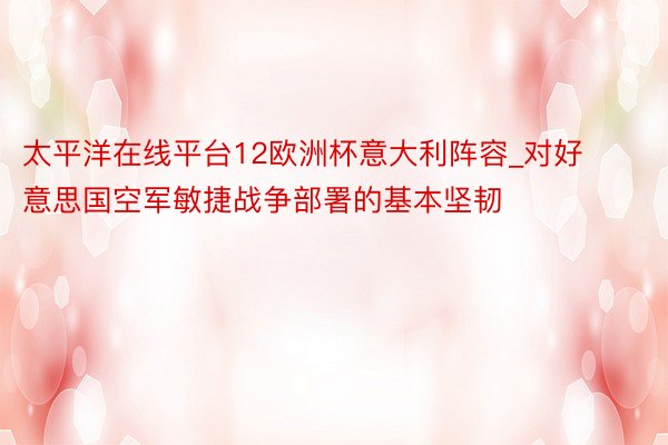 太平洋在线平台12欧洲杯意大利阵容_对好意思国空军敏捷战争部署的基本坚韧