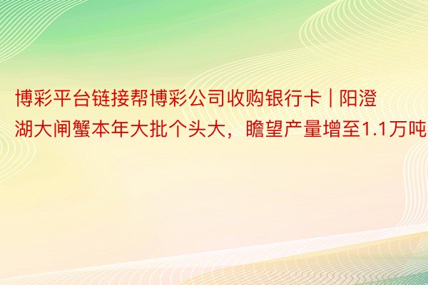 博彩平台链接帮博彩公司收购银行卡 | 阳澄湖大闸蟹本年大批个头大，瞻望产量增至1